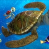 fn3d-sub2tentative
