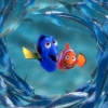 fn3d-sub5tentative